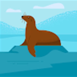 Meet your Posher, Elise